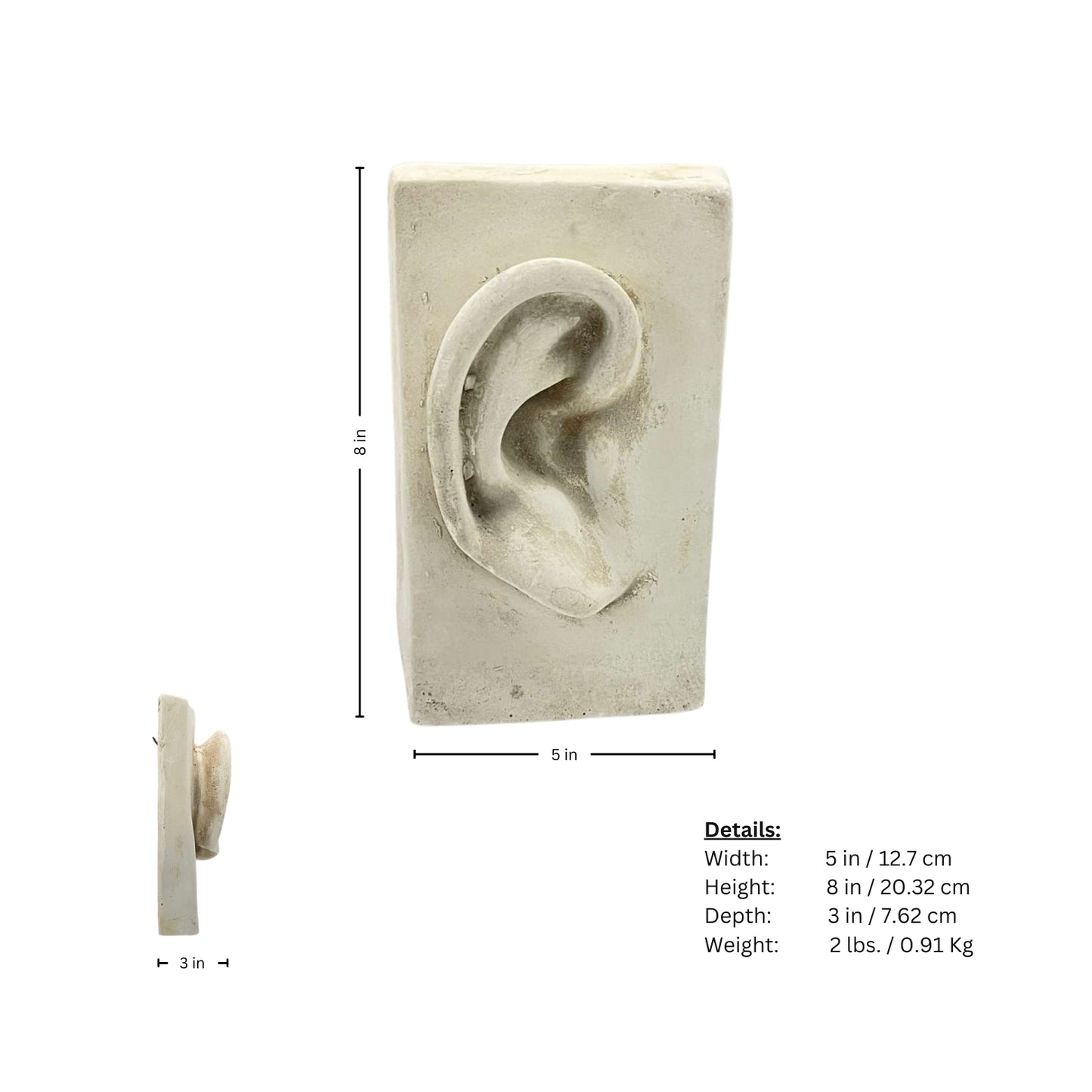 Wall decorative plaque measurement page of a plaster ear on a white background