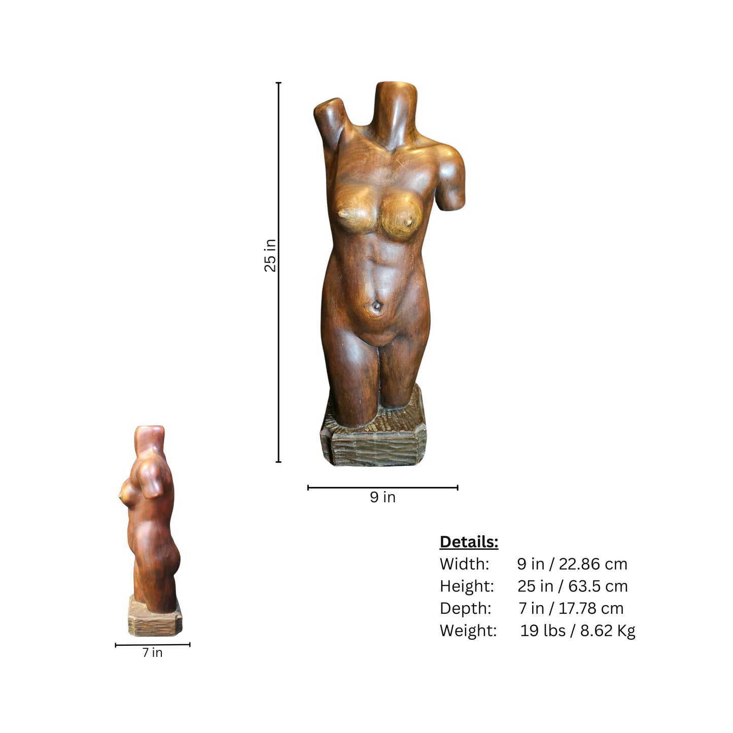 Page of measurements of a wooden statue of a female torso on a white background