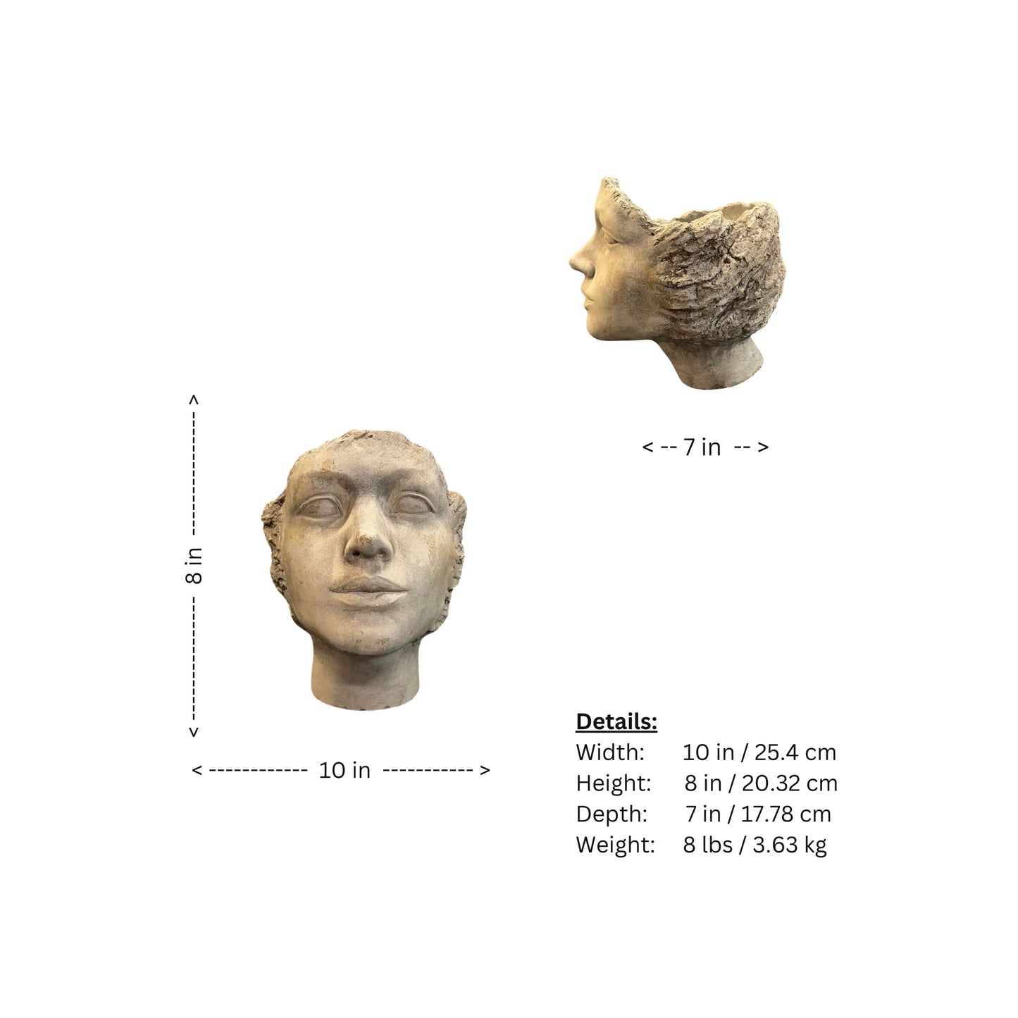 Add a touch of whimsy to your gardening with our Decorative Head Planter. Inspired by ancient Greek designs, this open back resin planter is perfect for showcasing flower arrangements or plants. (Warning: may cause fun and quirky conversations with your neighbors!)