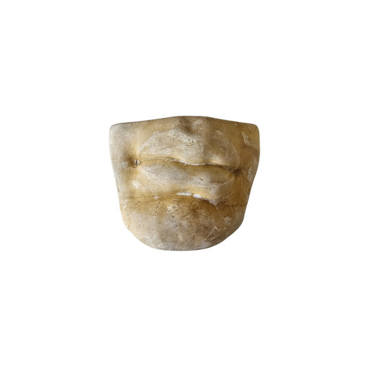 Michelangelo's inspired famous "David's Lips" classic roman
