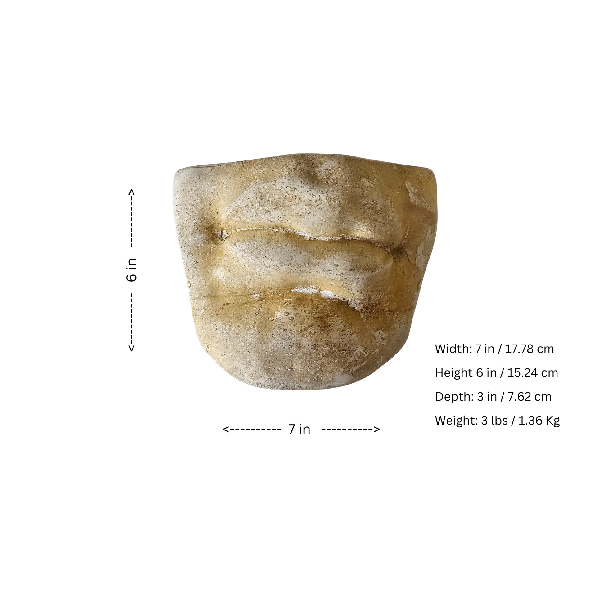Michelangelo's inspired famous "David's Lips" classic roman
