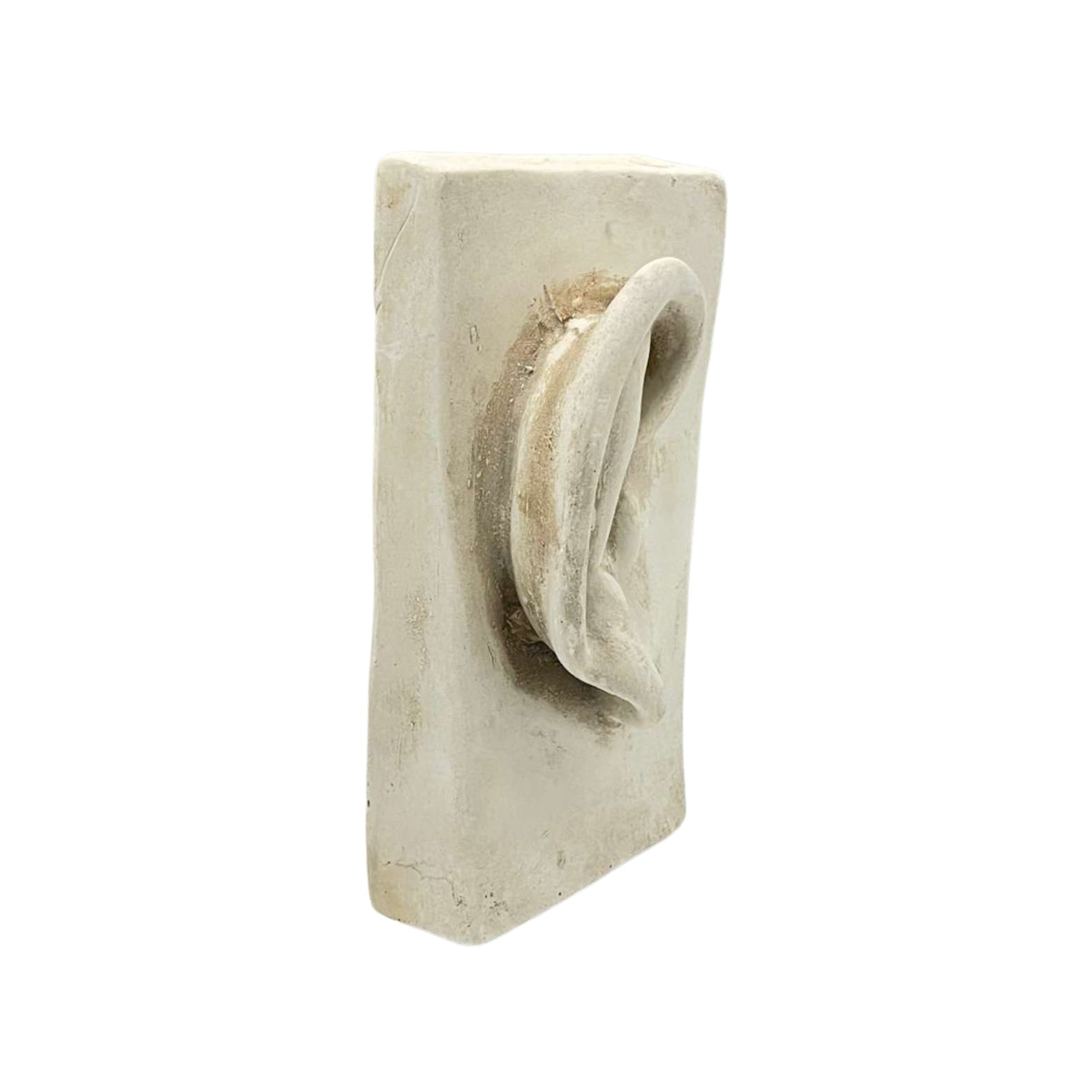 Side view decorative wall plaque of a plaster ear on a white background