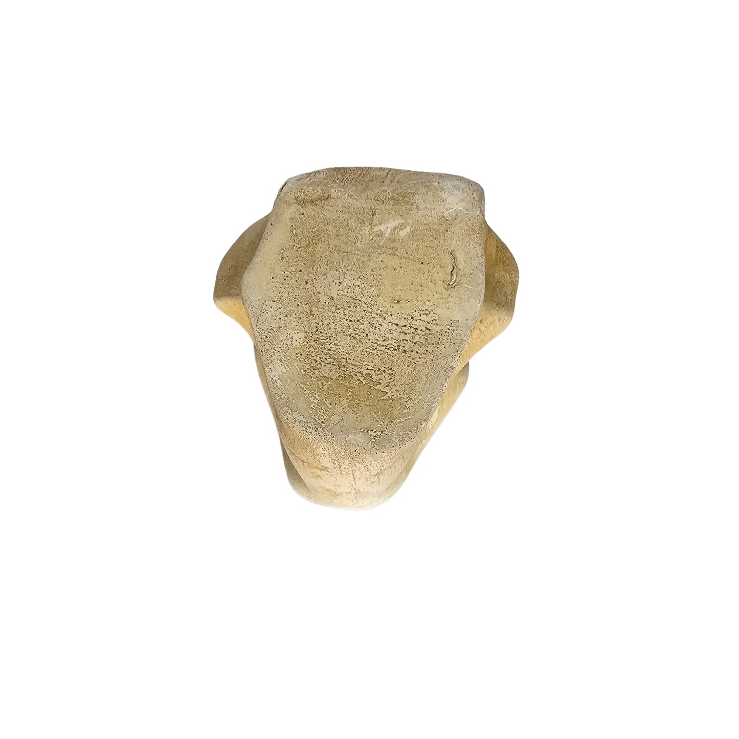 Take Michelangelo's inspired classic Roman style and add a touch of modern refinement to your home decor with our Famous David's Nose sculpture. This timeless masterpiece is sure to be a conversation starter and is the perfect addition to any art lover's collection. Who knows what other treasures you'll find when you bring this nose sculpture into your home. (Just kidding, we don't have any more famous noses...but we do have amazing sculptures!
 