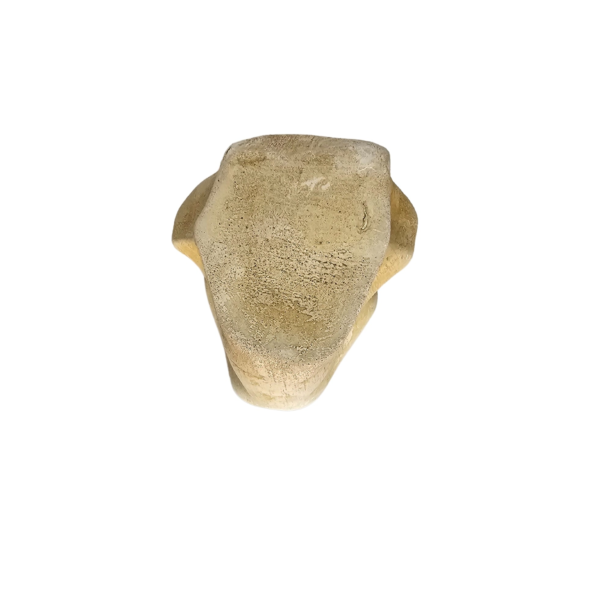 Take Michelangelo's inspired classic Roman style and add a touch of modern refinement to your home decor with our Famous David's Nose sculpture. This timeless masterpiece is sure to be a conversation starter and is the perfect addition to any art lover's collection. Who knows what other treasures you'll find when you bring this nose sculpture into your home. (Just kidding, we don't have any more famous noses...but we do have amazing sculptures!
 
