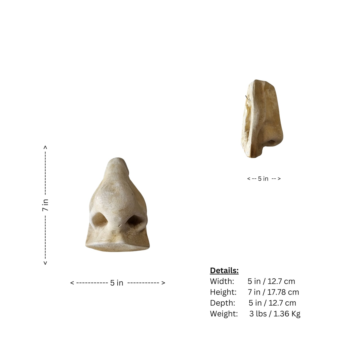 Take Michelangelo's inspired classic Roman style and add a touch of modern refinement to your home decor with our Famous David's Nose sculpture. This timeless masterpiece is sure to be a conversation starter and is the perfect addition to any art lover's collection. Who knows what other treasures you'll find when you bring this nose sculpture into your home. (Just kidding, we don't have any more famous noses...but we do have amazing sculptures!
 