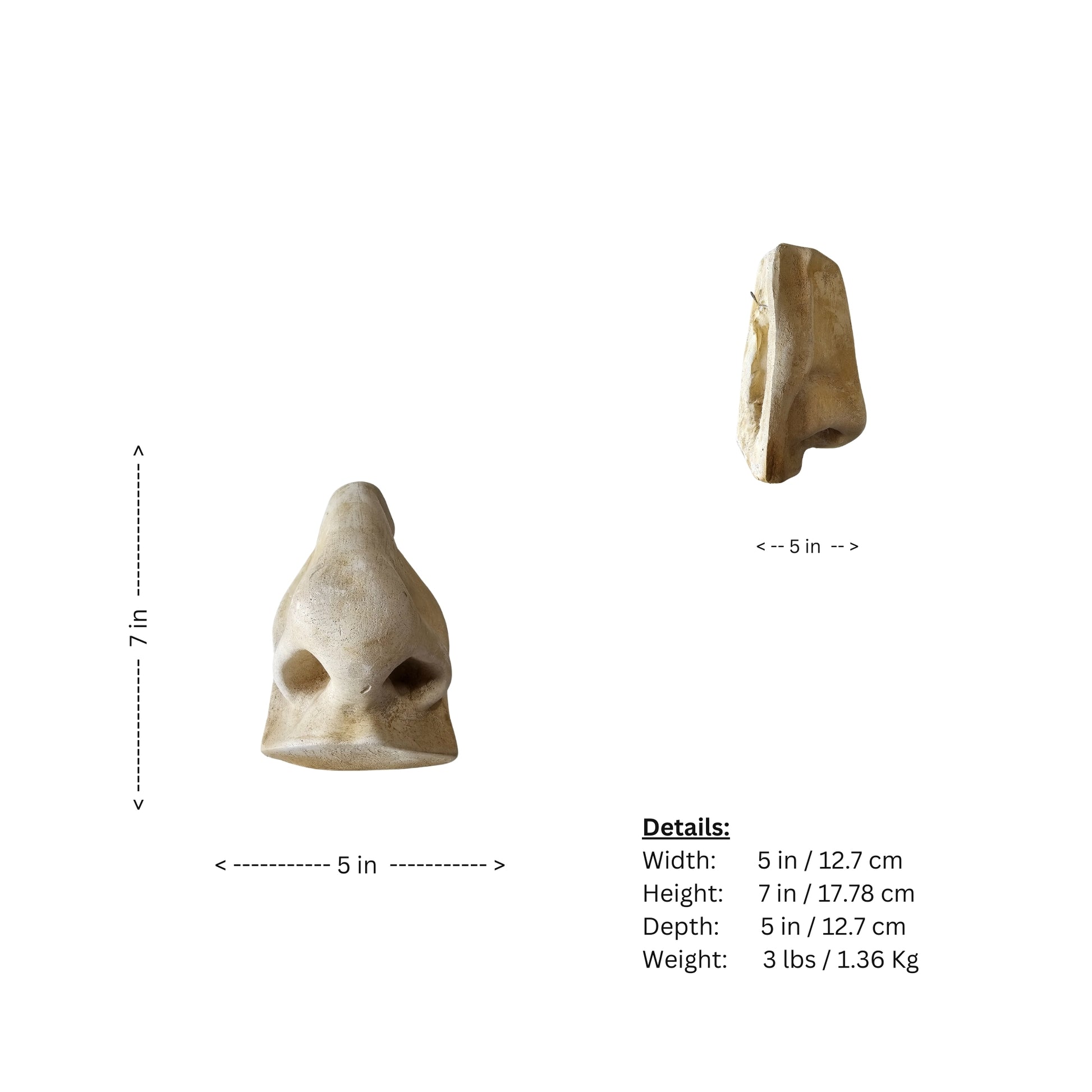 Take Michelangelo's inspired classic Roman style and add a touch of modern refinement to your home decor with our Famous David's Nose sculpture. This timeless masterpiece is sure to be a conversation starter and is the perfect addition to any art lover's collection. Who knows what other treasures you'll find when you bring this nose sculpture into your home. (Just kidding, we don't have any more famous noses...but we do have amazing sculptures!
 