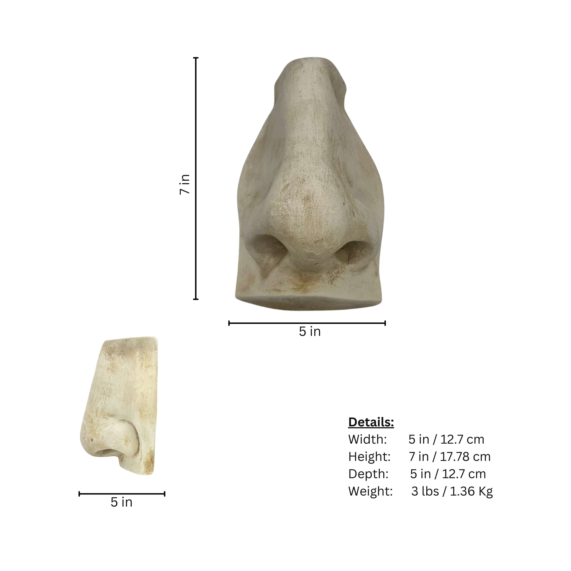 Page of measurements and details of the plaster sculpture of a nose on a white background