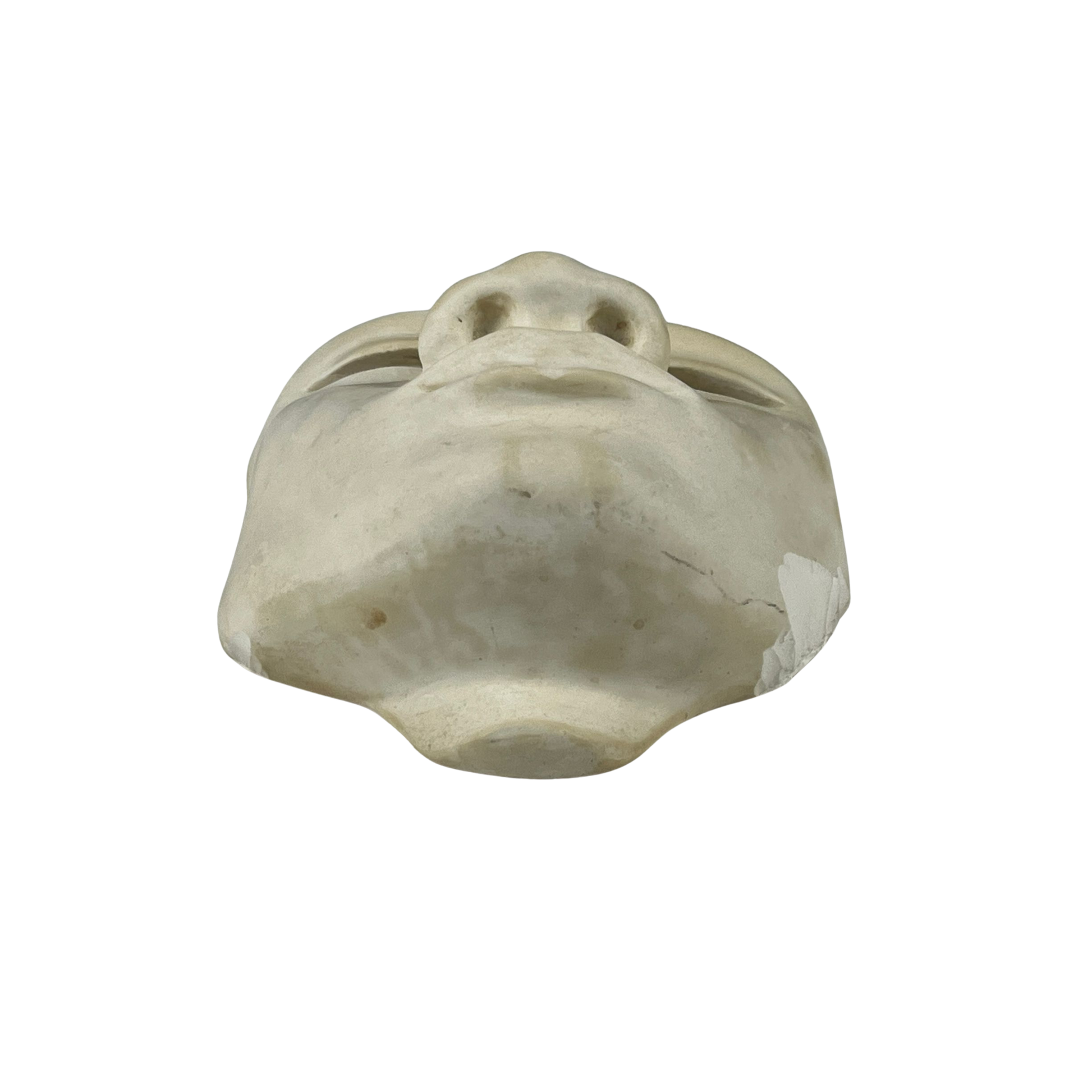 Bottom view of a plaster sculpture of a face on a white background