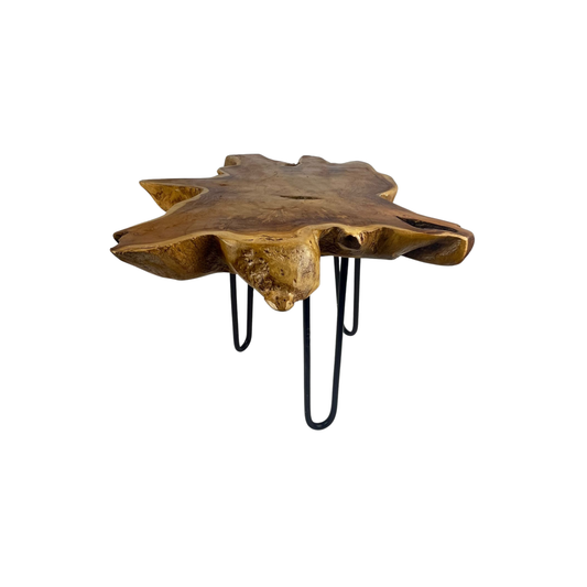 Front view of a teak tree trunk table on a white background
