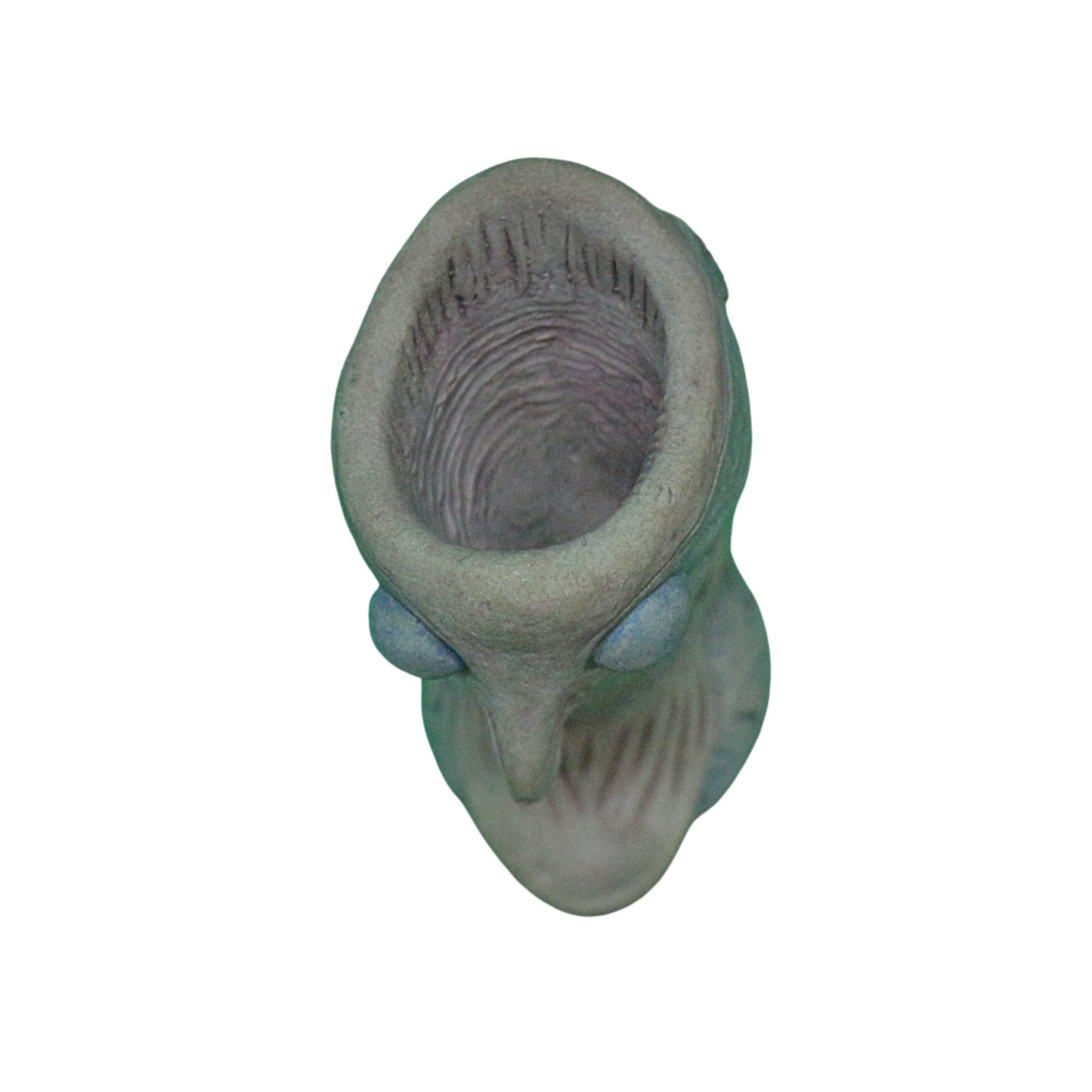 Top view of a decorative fish-shaped vase on a white background