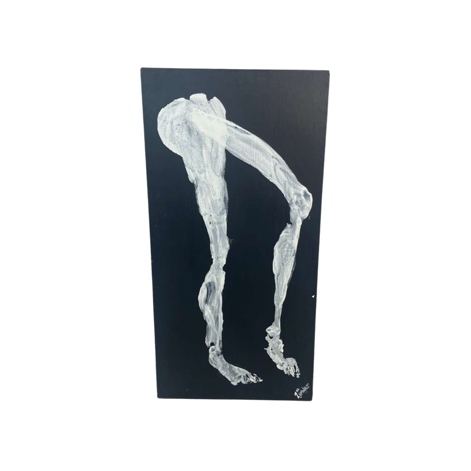 Front view of wall art of legs and breasts on a white background